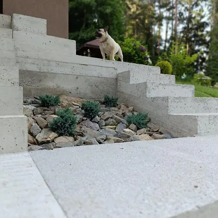 Hisa Vrhov Dol Σπίτι διακοπών