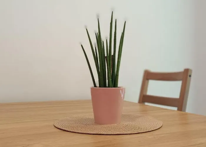 Prázdninový dům Hisa Vrhov Dol